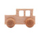Locomotive